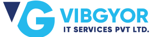 Vibgyor IT Services